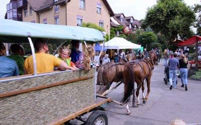 Rückblick Bindersgarten Herbstfest 2019