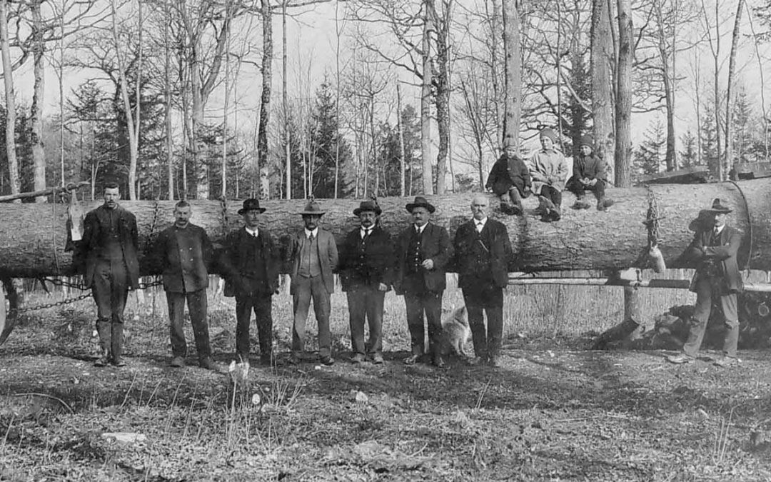 Herbstzeit im Bindersgarten mit „Aachelemanne-Wettbewerb“